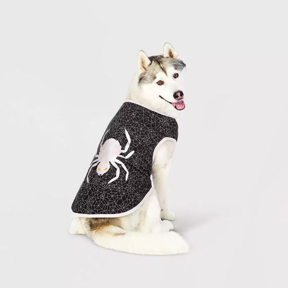 Hyde & EEK! Boutique Halloween Graphic Spider Dog & Cat T-Shirt  Black, X-Large - Picture 2 of 4